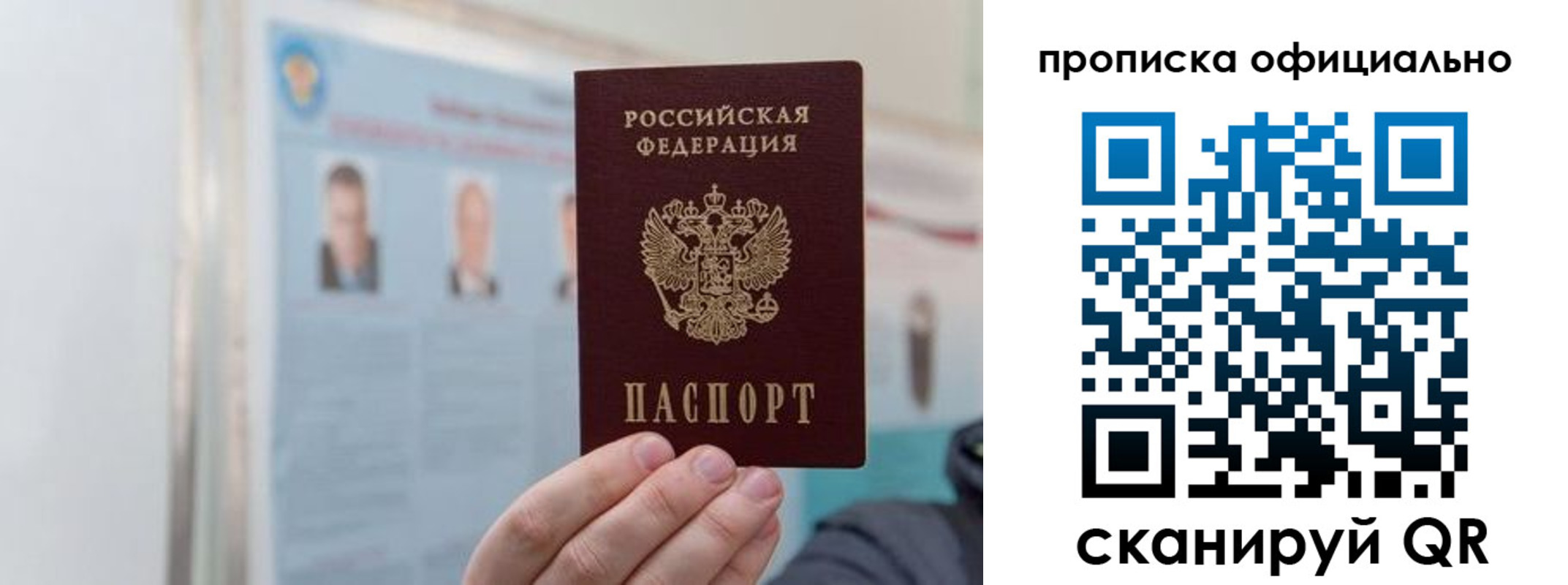 прописка гарантия в Ленинградской области